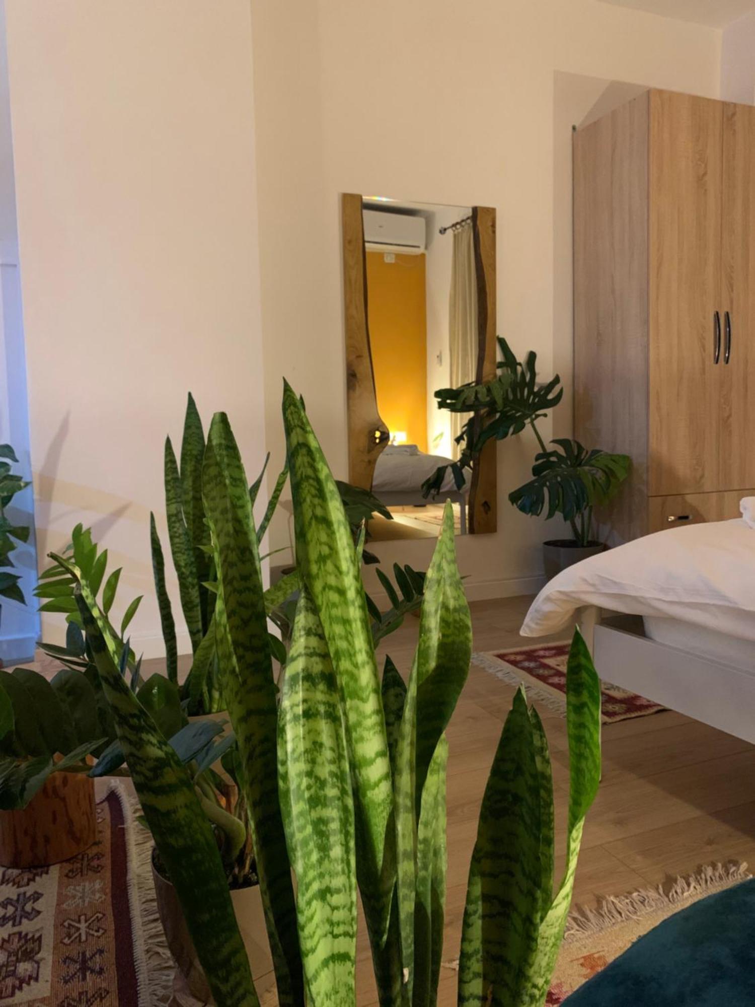 Vibe Studio Apartment 티라나 외부 사진